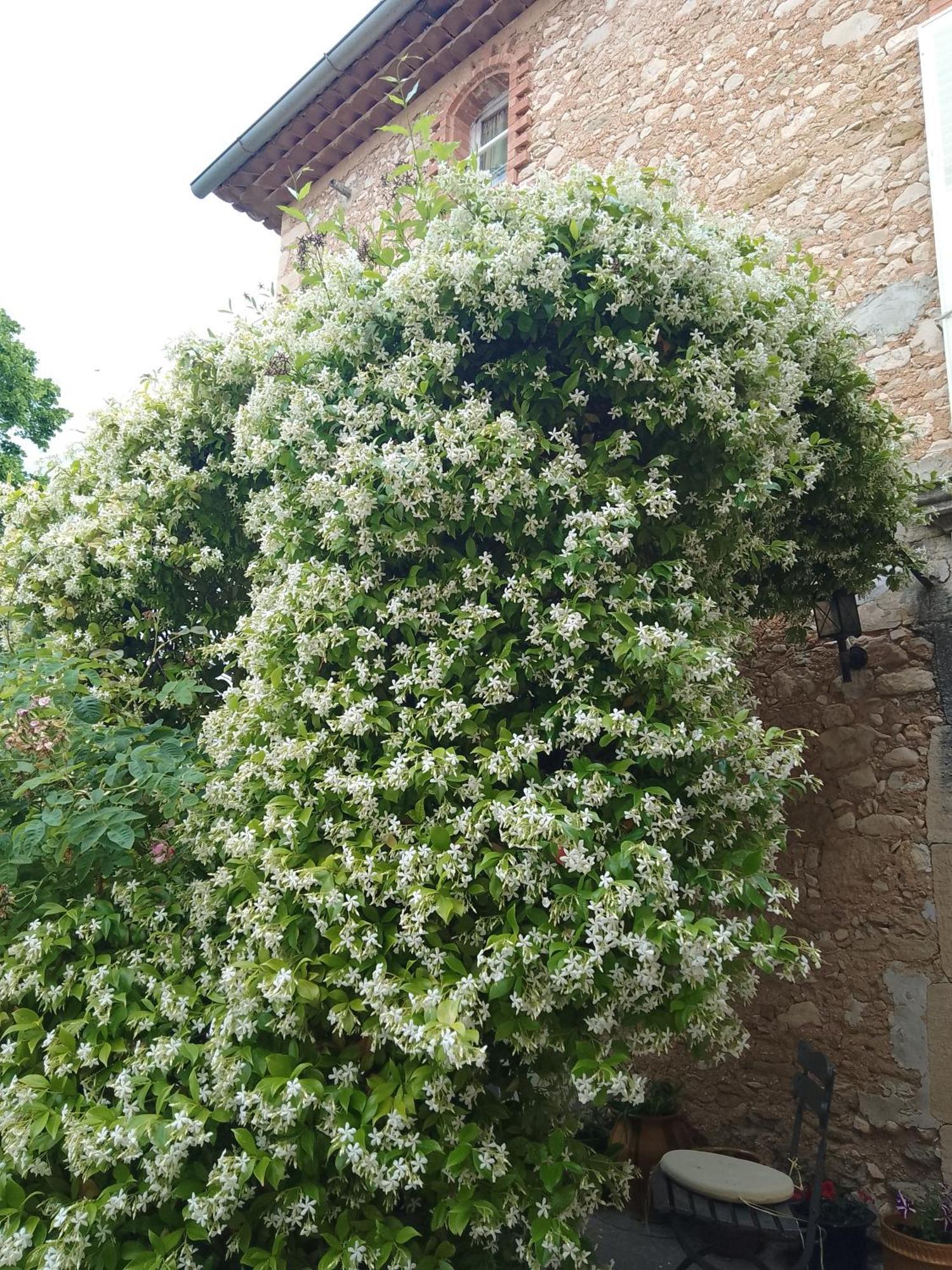 Les Gites Du Mont Ventoux Bédoin Exterior photo