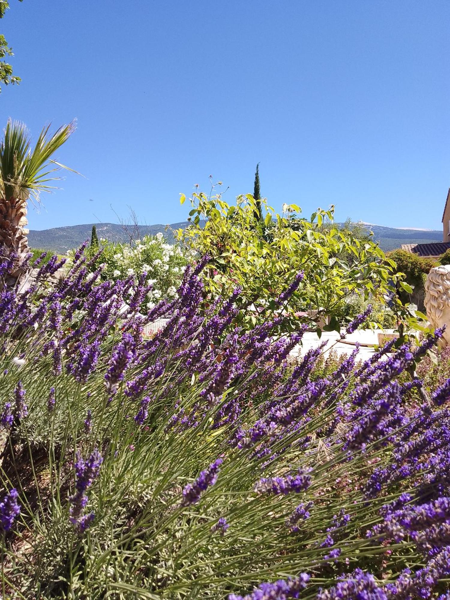 Les Gites Du Mont Ventoux Bédoin Exterior photo